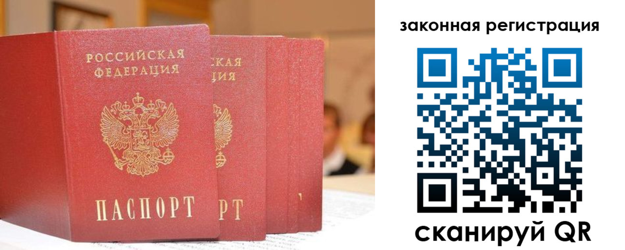прописка поиск в Курганинске